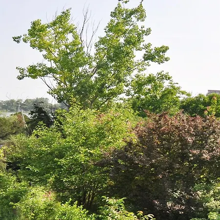 Antos Deluxe * Köstence