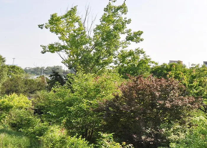 Antos Deluxe * コンスタンツァ